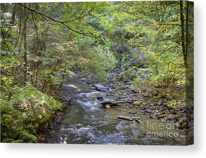 Water Canvas Print featuring the photograph Fillmore Glen 38 by William Norton
