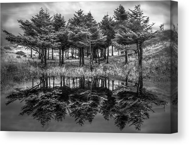 Black Canvas Print featuring the photograph Fire in the Lake in Black and White by Debra and Dave Vanderlaan