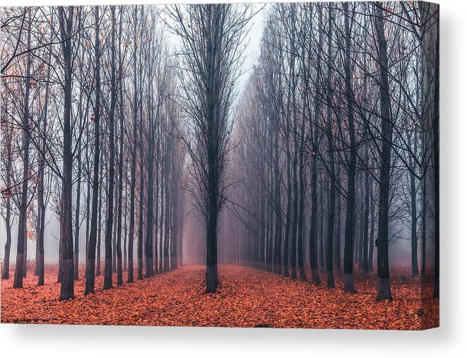 Anevsko Kale Canvas Print featuring the photograph First In the Line by Evgeni Dinev