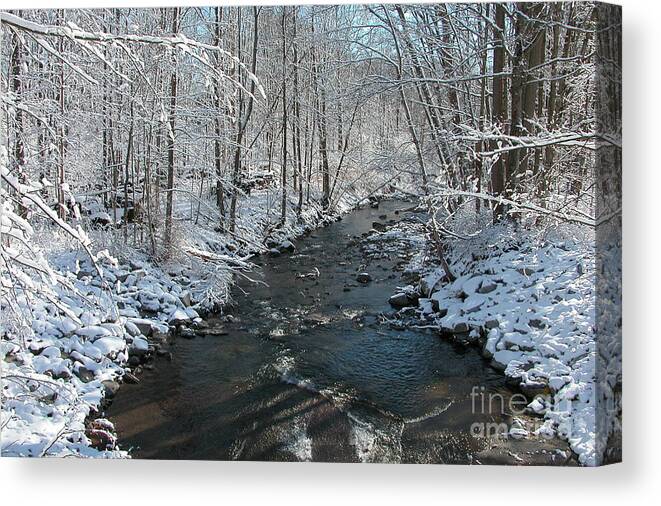 Nature Canvas Print featuring the photograph First Snow of Winter by Mariarosa Rockefeller