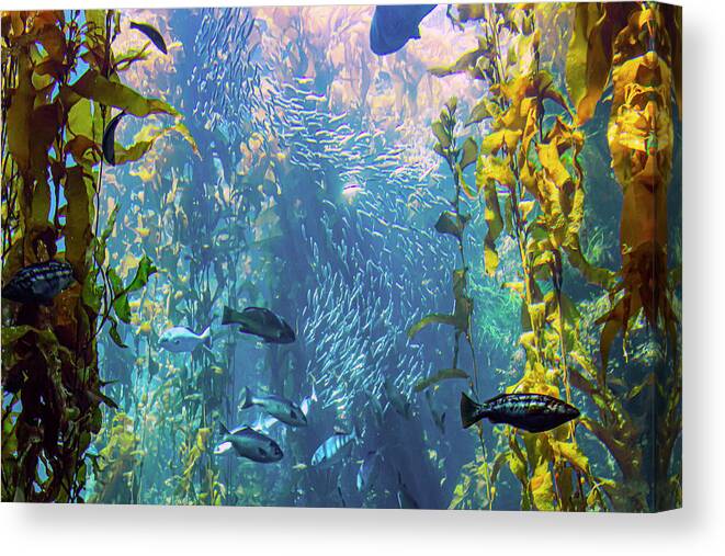Fish Canvas Print featuring the photograph Fish in the Kelp Forest by Bonnie Follett