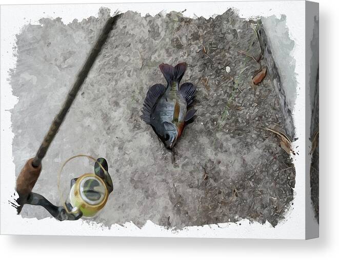 Grey Canvas Print featuring the digital art Fishing by Chauncy Holmes