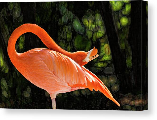 Flamingo Canvas Print featuring the photograph Flamingo Dreams by Shane Bechler