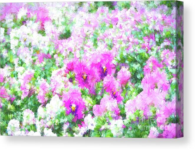 Floral Canvas Print featuring the photograph Floral Abstract Painting by Andrea Anderegg