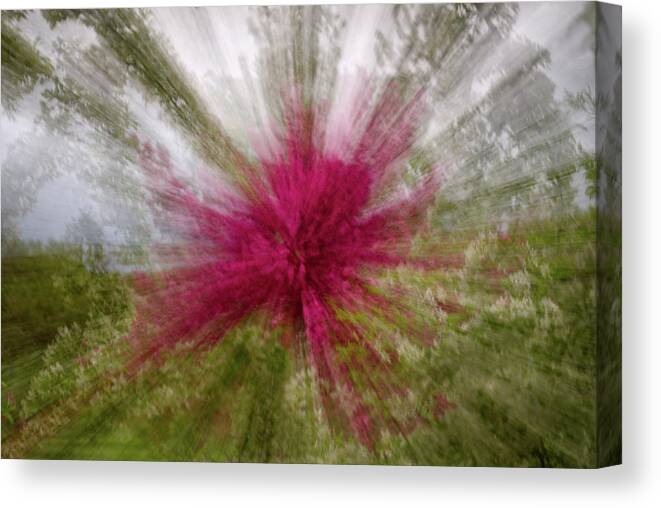 Icm Canvas Print featuring the photograph Floral Fireworks - abstract zooming motion of flowering trees by Peter Herman