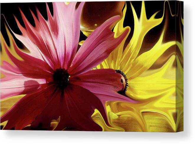 Daisy Canvas Print featuring the photograph Floral Mindscape by Wayne King