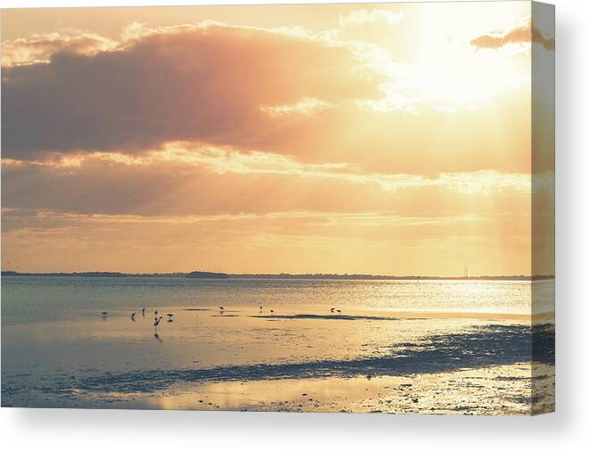 Beach Canvas Print featuring the photograph Florida Beach Sunset by Joe Leone