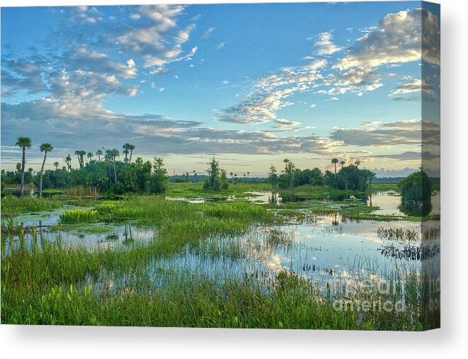 Usa Canvas Print featuring the photograph Floridian Nature by Brian Kamprath