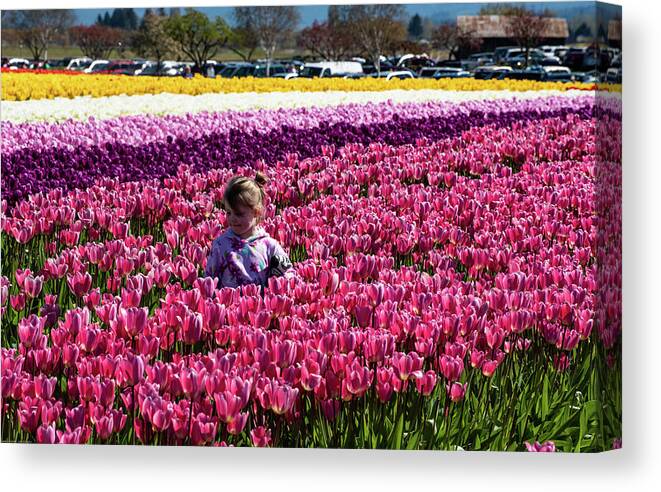Flower Among The Tulips Canvas Print featuring the photograph Flower Among the Tulips by Tom Cochran