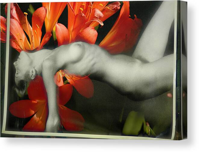 Full Nude Canvas Print featuring the photograph Flower Girl by Harry Spitz