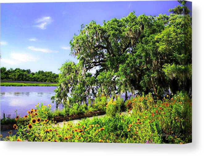 Color Canvas Print featuring the photograph Flowers along the River by Alan Hausenflock
