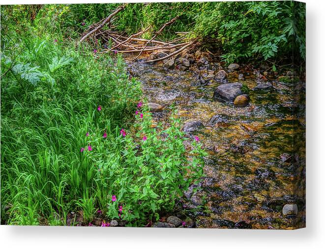 Outdoors Canvas Print featuring the photograph Flowers in a mountain stream by Nathan Wasylewski