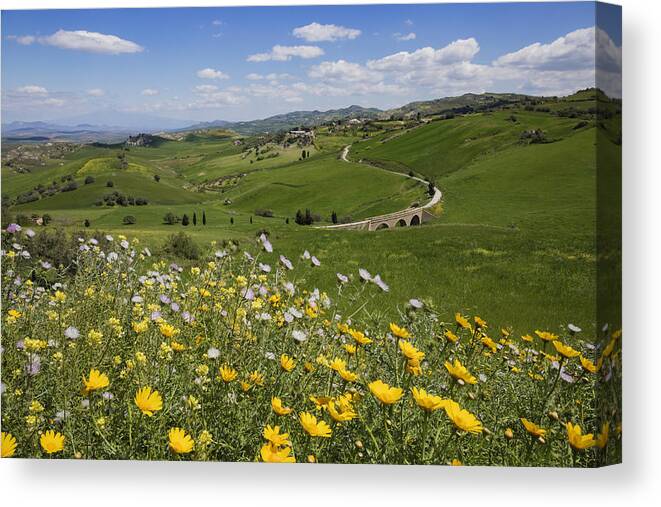 Scenics Canvas Print featuring the photograph Flowers in rural landscape by Jeremy Woodhouse