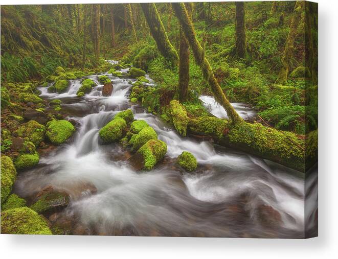 Oregon Canvas Print featuring the photograph Flowing Solitude by Darren White