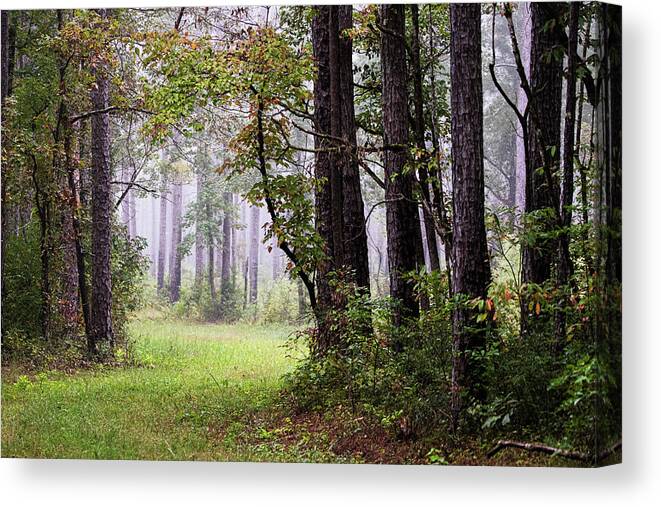 Forest Canvas Print featuring the photograph Foggy Autumn Morning in the Croatan National Forest by Bob Decker