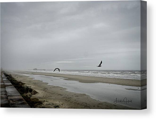 Gulf Shore Canvas Print featuring the photograph Foggy Beach by Linda Lee Hall