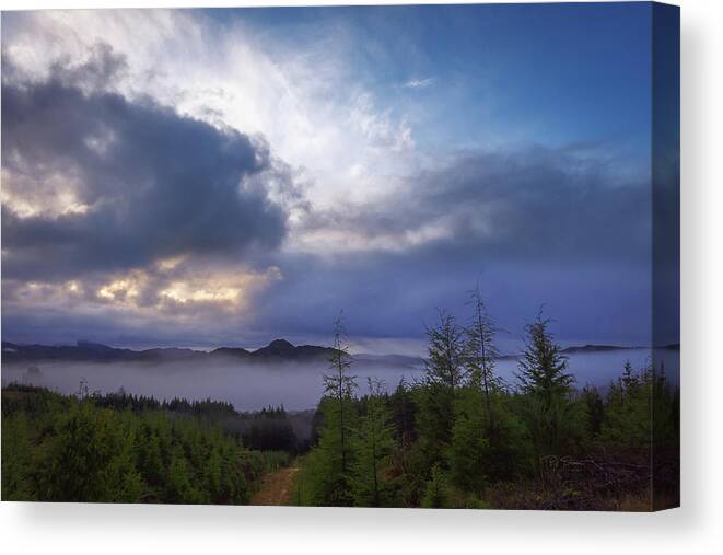 Oregon Coastal Forest Canvas Print featuring the photograph Foggy Overlook by Bill Posner