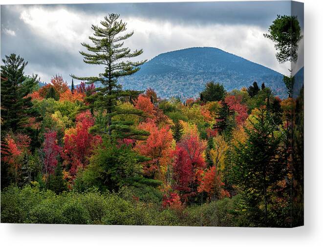 Foliage And Mountain Canvas Print featuring the photograph Foliage and Mountain by Mark Papke