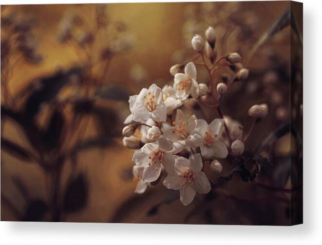  Canvas Print featuring the photograph Forgotten Dreams by Jenny Rainbow