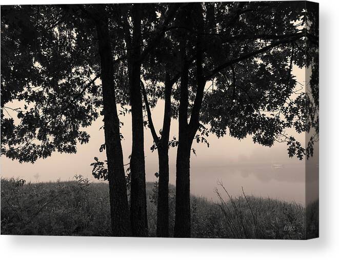 Abstract Canvas Print featuring the photograph Four Trees Toned by David Gordon