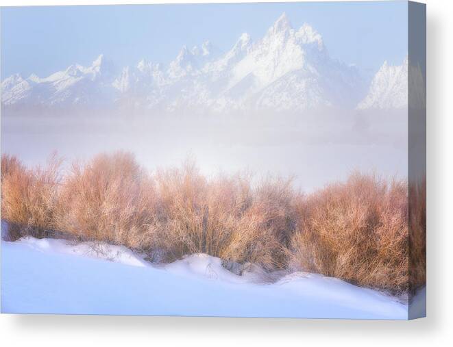 Tetons Canvas Print featuring the photograph Fresh Fog in the Valley by Darren White