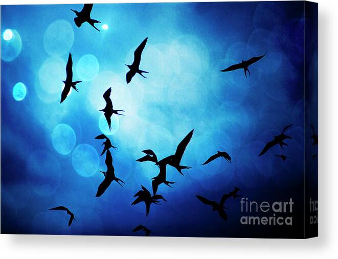 2202 Canvas Print featuring the photograph Frigate Birds Over Puerto Lopez II by Al Bourassa