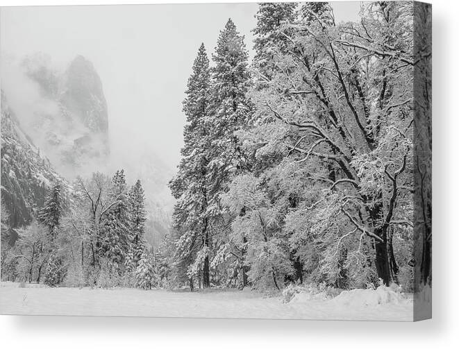 Landscape Canvas Print featuring the photograph Frigid by Jonathan Nguyen