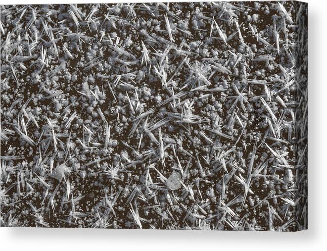 Frost Canvas Print featuring the photograph Frost Pattern Background by Karen Rispin