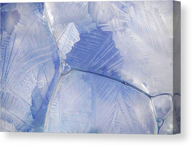 Frost Canvas Print featuring the photograph Frosty Bubbles 5B by Ira Marcus