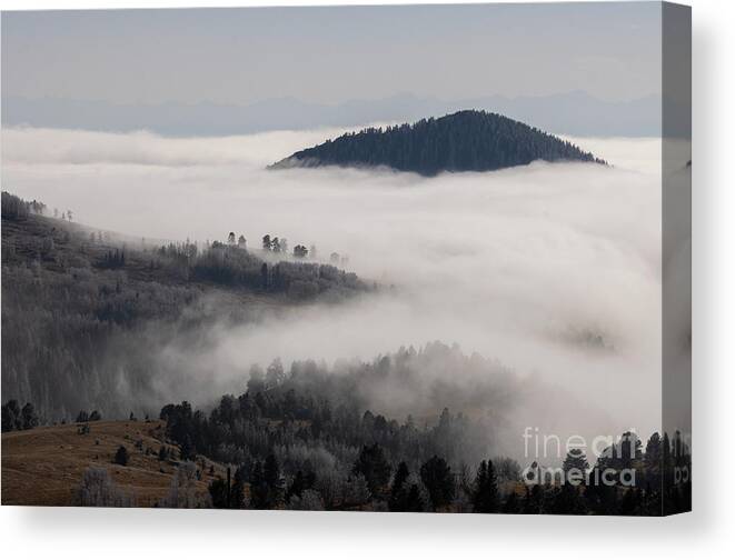 Fog Canvas Print featuring the photograph Frosty Fog in Cripple Creek by Steven Krull
