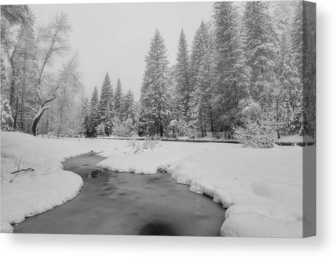 Landscape Canvas Print featuring the photograph Frozen Creek by Jonathan Nguyen