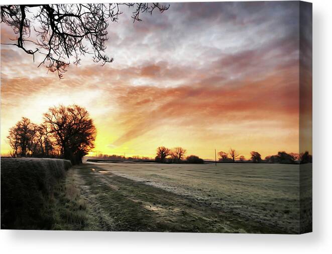 Landscape Canvas Print featuring the photograph Frozen English Hedgerow at Dawn by Ian Hutson