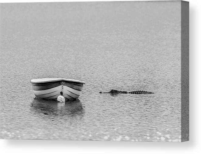 Alligator Canvas Print featuring the photograph Gator and a Dinghy by Bryan Williams
