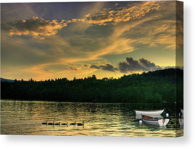 Geese Canvas Print featuring the photograph Geese with Boats by Wayne King