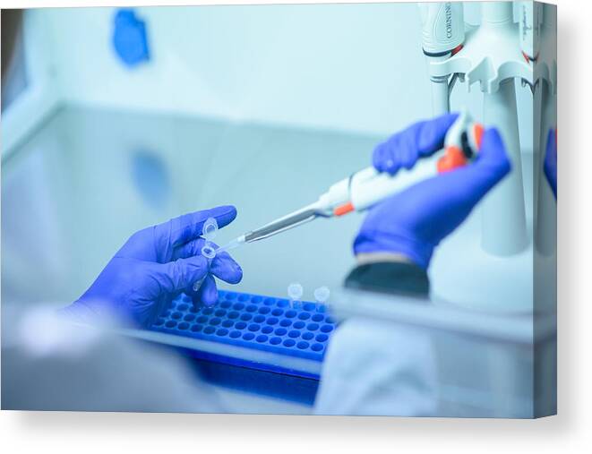Medical Research Canvas Print featuring the photograph Genetic test by Cristobal Marambio