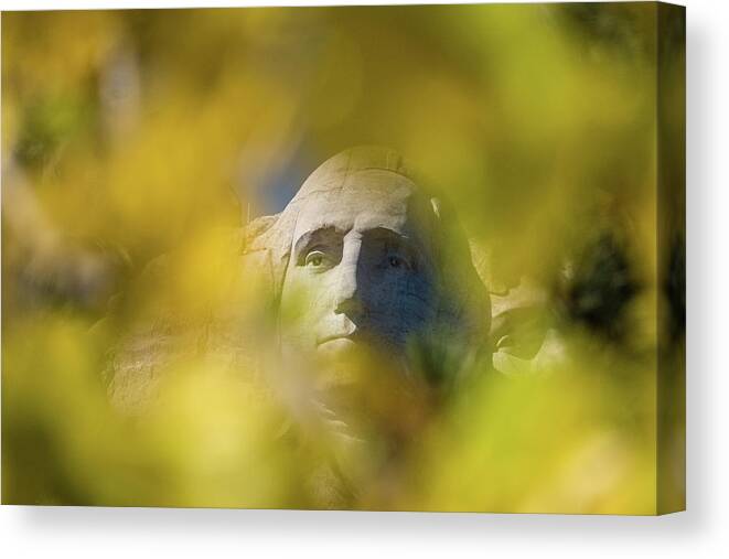 George Washington Mount Rushmore Canvas Print featuring the photograph George Washington - Mount Rushmore #1 by David Morehead