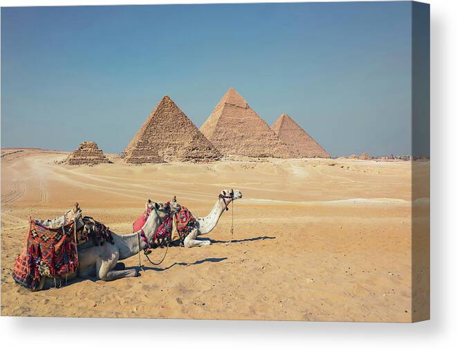 Cairo Canvas Print featuring the photograph Giza Plateau by Manjik Pictures