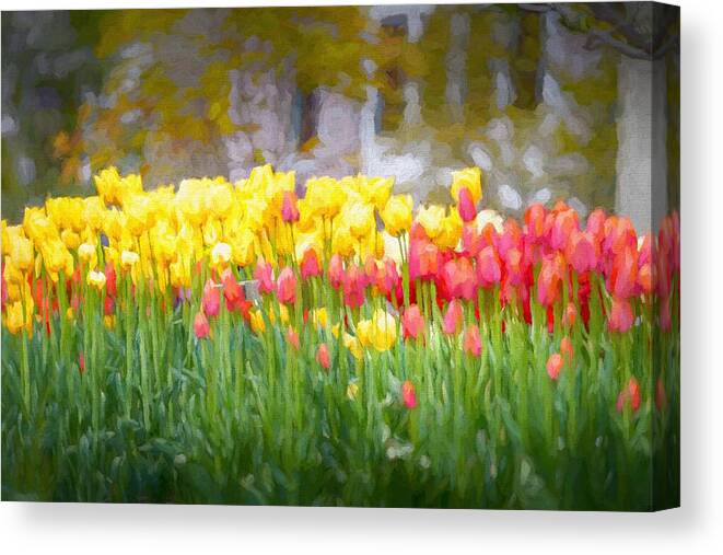 Tulips Canvas Print featuring the mixed media Glorious Tulips Oil Painting by Susan Rydberg