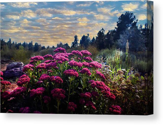 Summer Canvas Print featuring the photograph Glow of Summer by Laura Putman