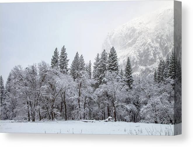 Landscape Canvas Print featuring the photograph Glows by Jonathan Nguyen