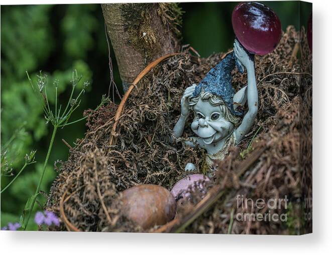 Gnome Canvas Print featuring the photograph Gnome Resting by Eva Lechner
