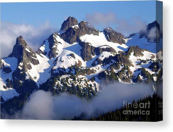 Mountain Canvas Print featuring the photograph Goat Island Mountain, Mount Rainier National Park by Douglas Taylor