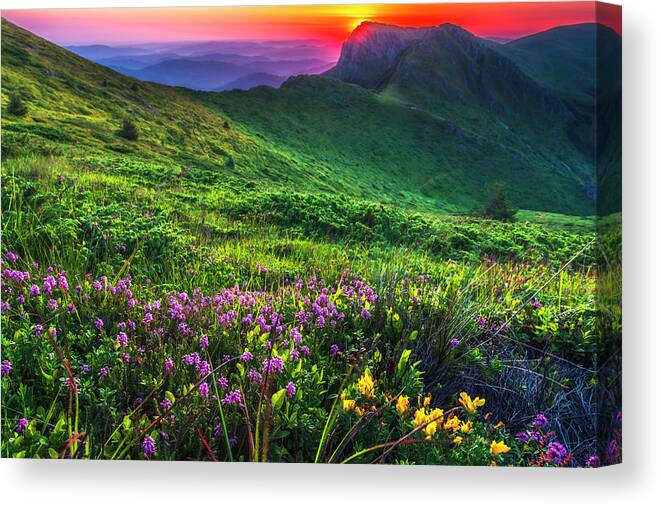 Balkan Mountains Canvas Print featuring the photograph Goat Wall by Evgeni Dinev