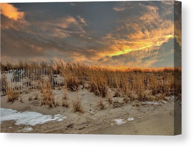 Beach Canvas Print featuring the photograph Golden Beach by Cathy Kovarik