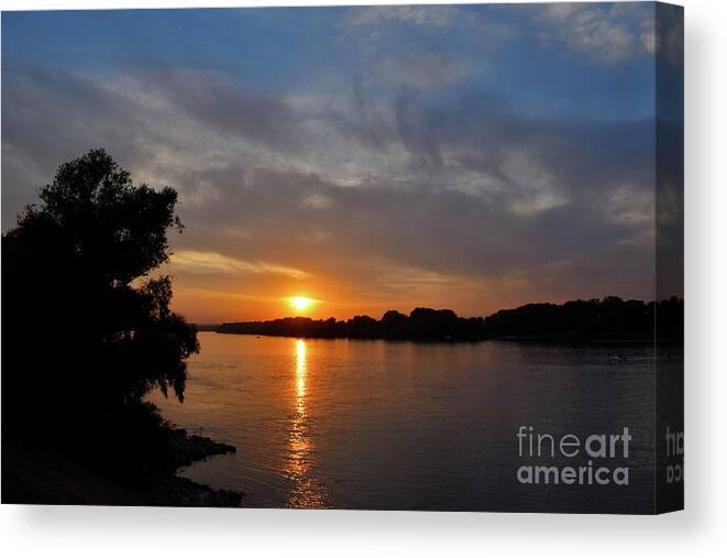 Harmony Canvas Print featuring the photograph Golden Eye of Sunlight by Leonida Arte