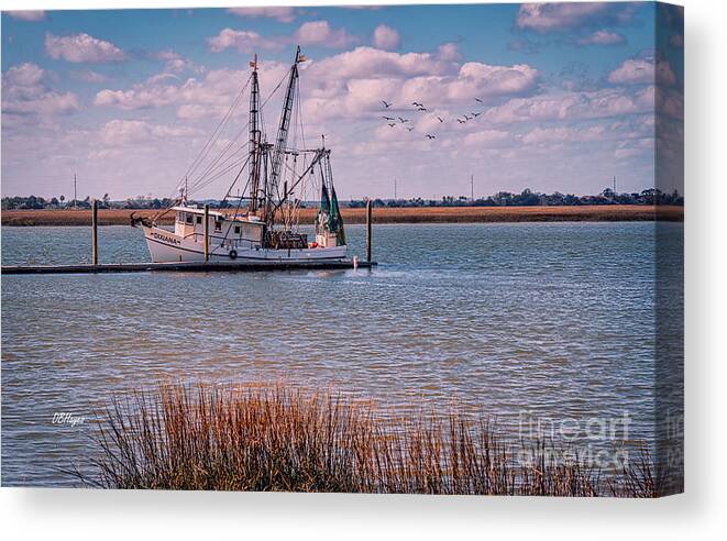  Canvas Print featuring the photograph Golden Isles Marine PhotoArt by DB Hayes