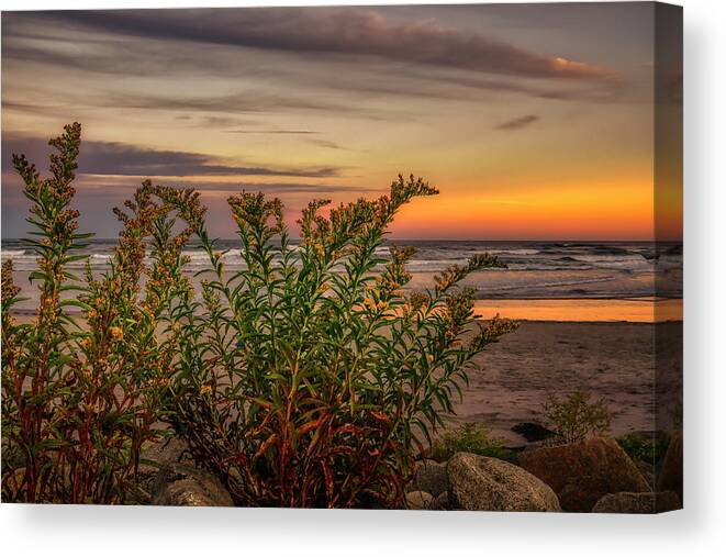 Ogunquit Canvas Print featuring the photograph Golden Sunset by Penny Polakoff