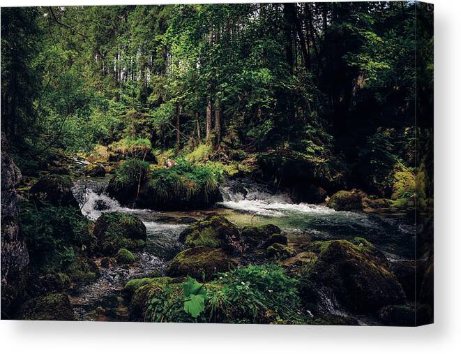 Path Canvas Print featuring the photograph Gollinger Wasserfalls by Vaclav Sonnek