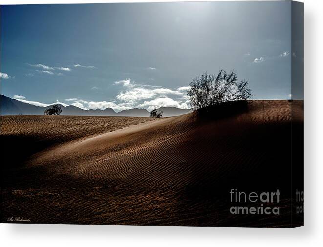 Samar Sands Canvas Print featuring the photograph Good morning Samar Sands by Arik Baltinester