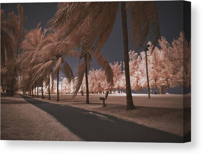 Infrared Photography Canvas Print featuring the photograph Goodman's Bay 1 by Gian Smith
